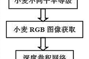 基于圖像深度學習的小麥干旱識別方法