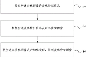 大田環境麥穗計數方法及裝置