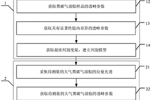基于拉曼光譜的大氣黑碳氣溶膠源解析方法