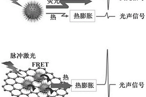 基于熒光淬滅效應實現復合探針光聲信號增強的方法