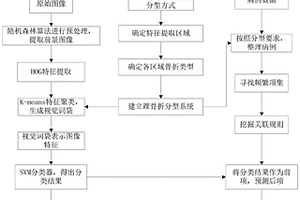 基于機器學習的踝骨折及韌帶損傷診斷方法