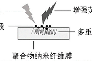 用于表面增強熒光的方法以及應用