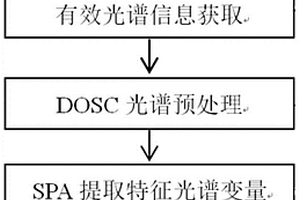 基于高光譜成像技術的獼猴桃貨架期快速判別方法