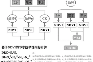 快速鑒定小麥節水抗旱性的方法