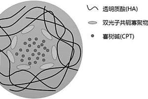 多功能靶向納米熒光探針及其制備與應用