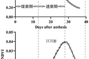 利用花后NDVI動態分析禾谷類作物冠層衰老進度的方法