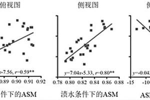 篩選小麥苗期耐漬性的圖像評價方法