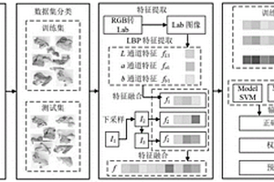 基于圖像亮度信息和投票機制的硫熏干姜鑒別方法