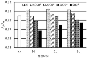 除草劑2,4-D藥害評價方法及應用