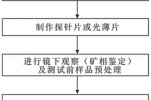 原位微區定量分析鈹含量的方法