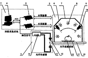 基于機器視覺的高速瓜果品質識別系統