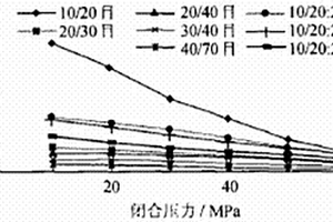 低滲透氣井CO2重復壓裂工藝技術