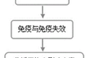 網絡病毒傳播行為建模方法