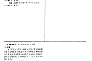 多功能安全用電指示器