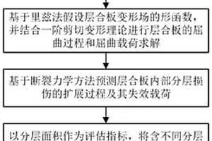 以分層面積作為評估指標的含分層損傷層合板損傷容限表征方法