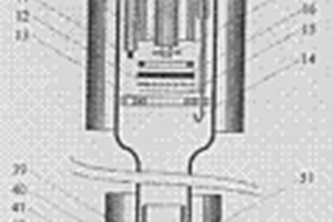 直接碳燃料電池反應裝置