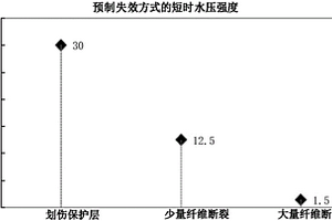 纖維增強熱塑性塑料復合管失效分析方法