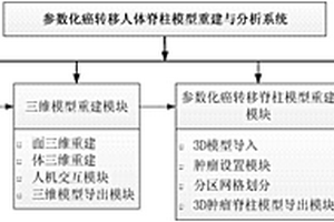 參數化癌轉移人體脊柱模型重建與分析系統