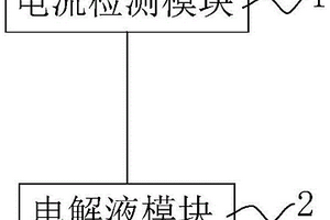 電極檢測系統