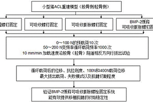 交叉韌帶重建中移植肌腱的測試方法