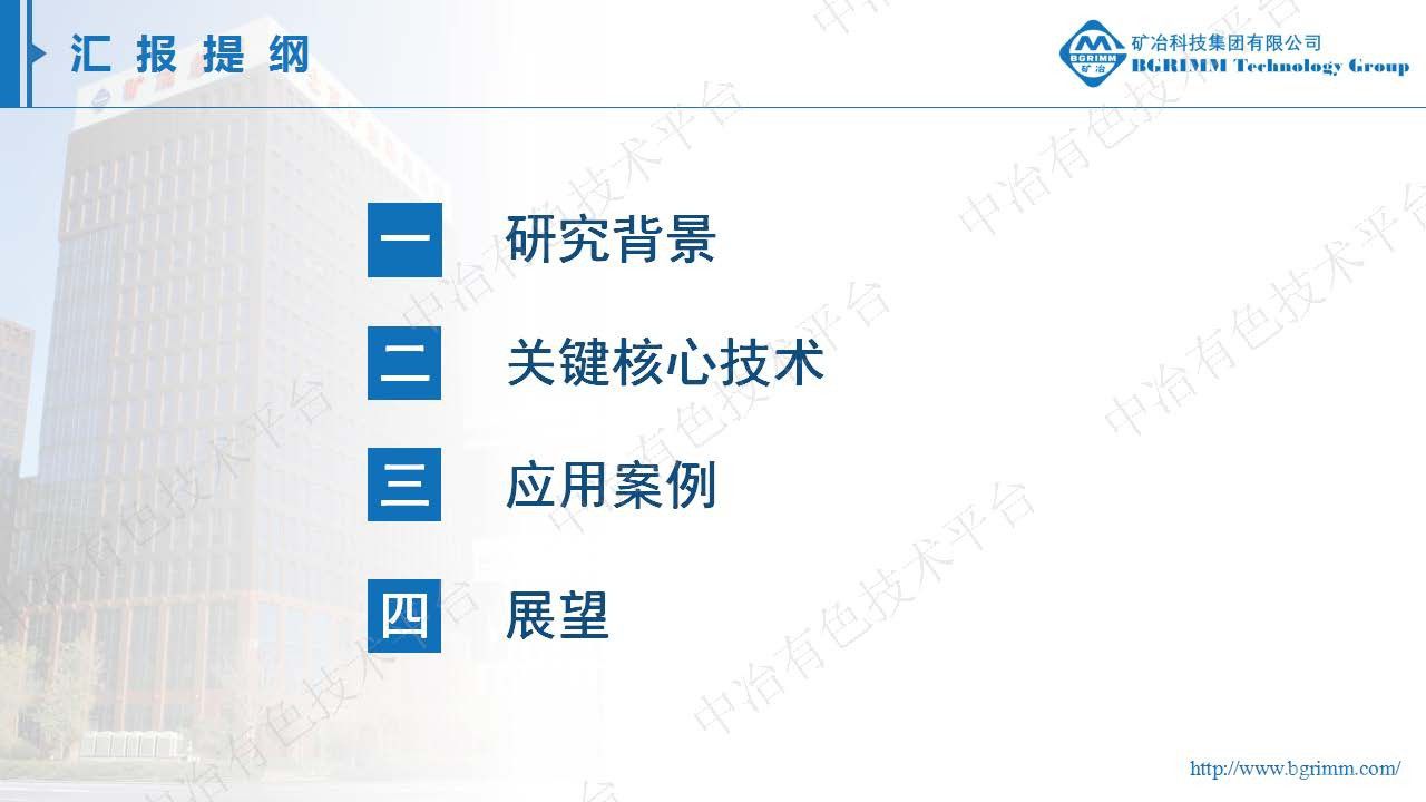 矿物自动定量分析系统及其应用研究