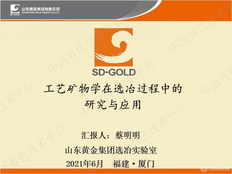工艺矿物学在选冶过程中的研究与应用