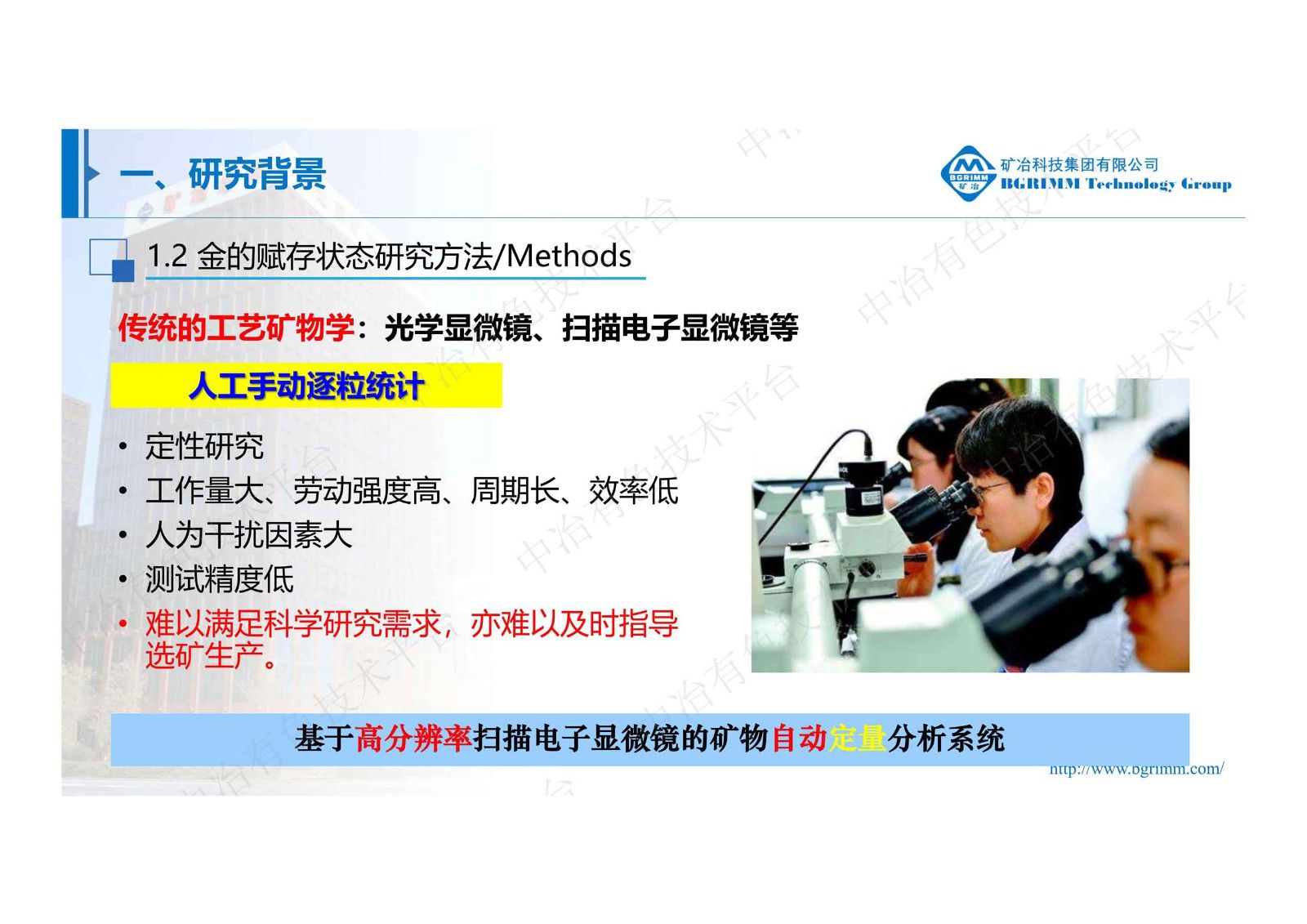 矿物自动定量分析系统及其在金的赋存状态研究中的应用