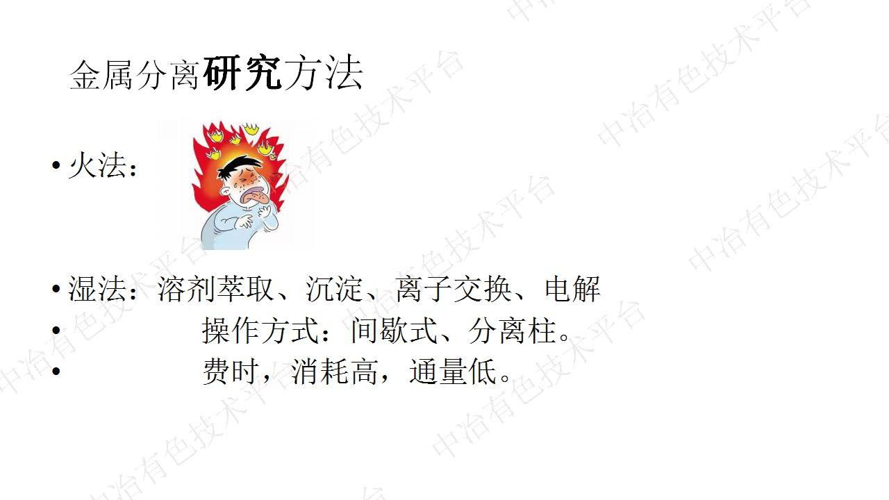 一种高通量在线金属分离系统的研究开发及应用