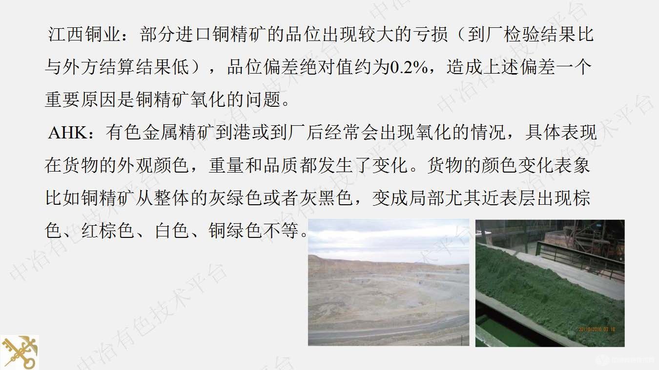 有色金属精矿氧化机理研究