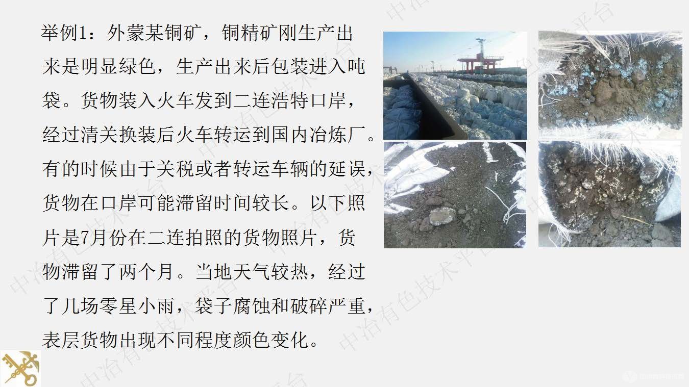 有色金属精矿氧化机理研究