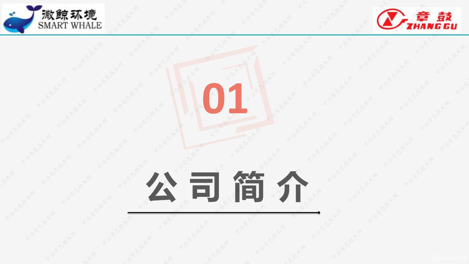 DMI-65重金属深度处理解决方案