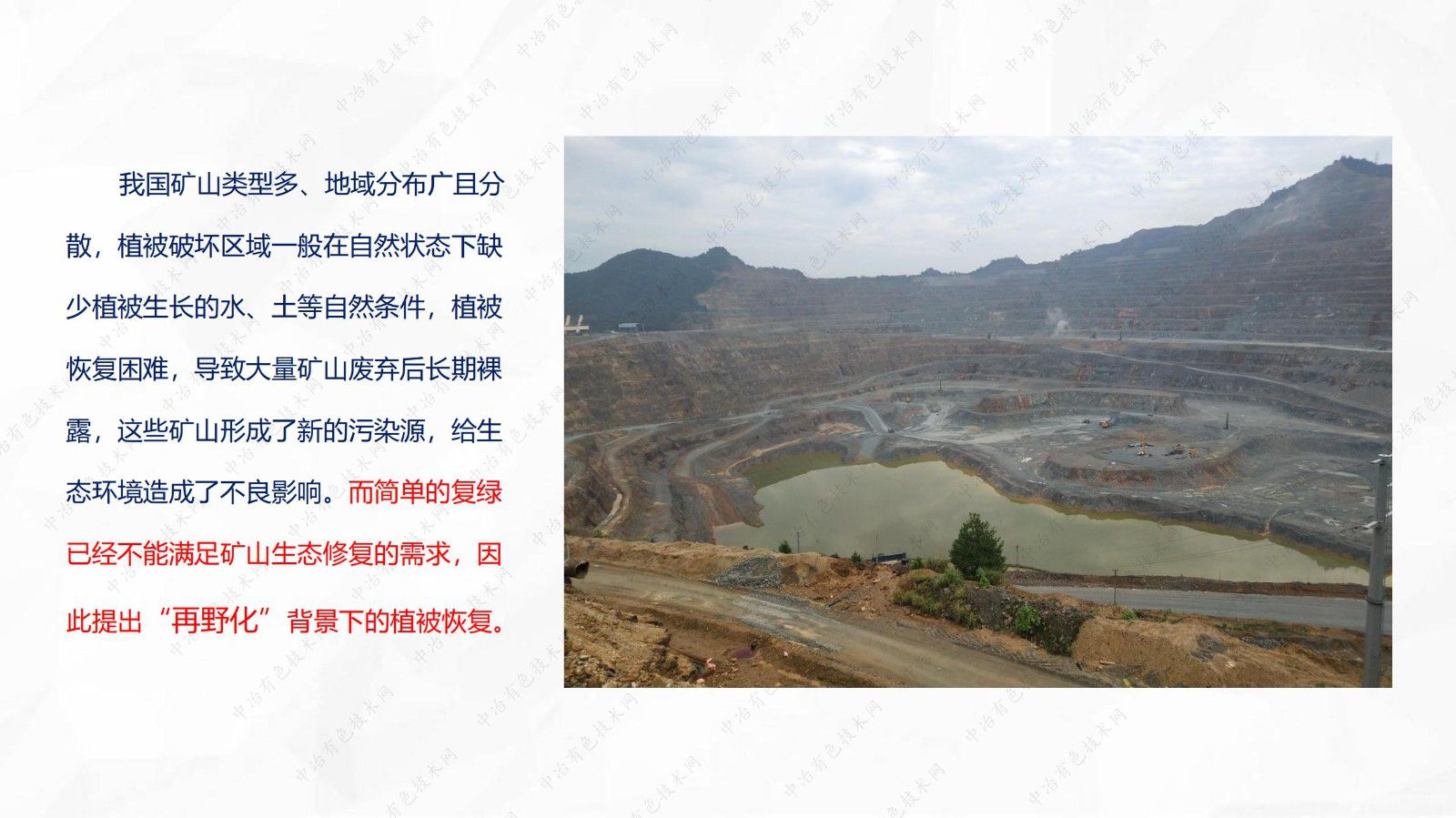 再野化背景下植被恢复的困境与解决方案创新