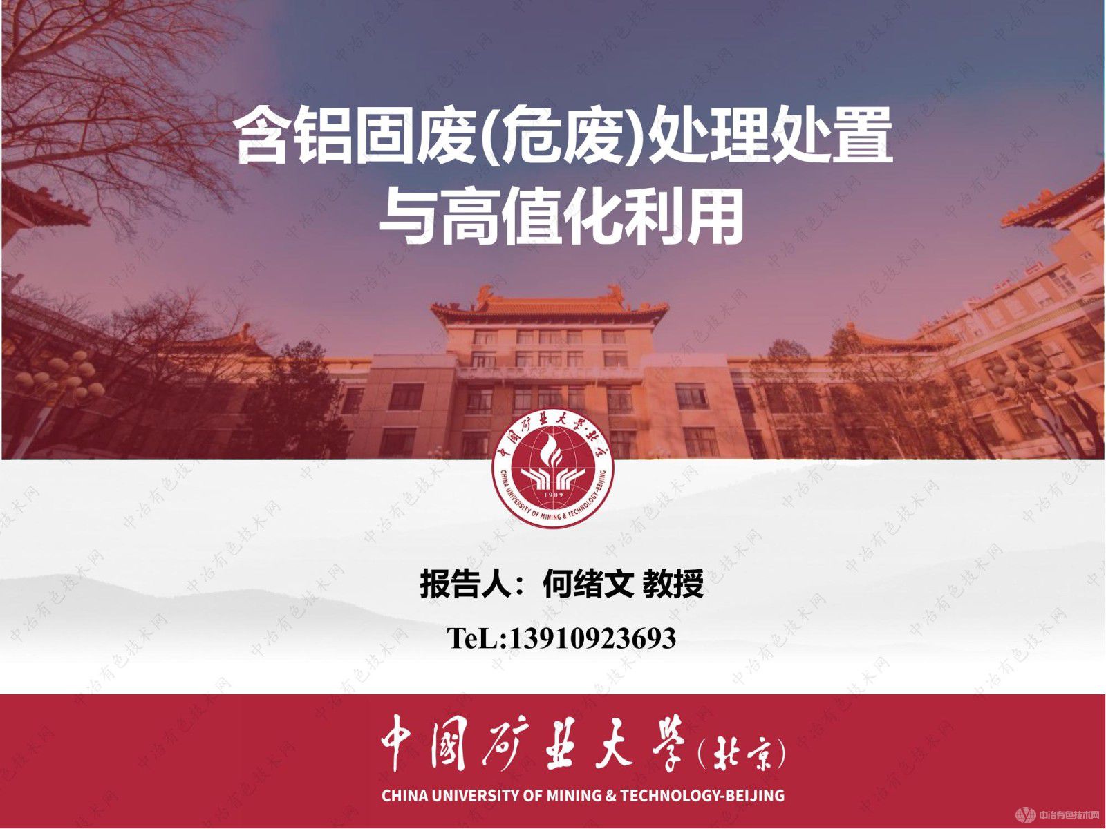 含铝固废(危废)处理处置 与高值化利用