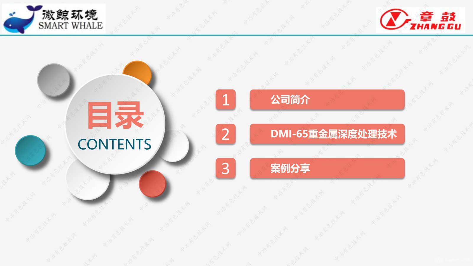 DMI-65重金属深度处理解决方案