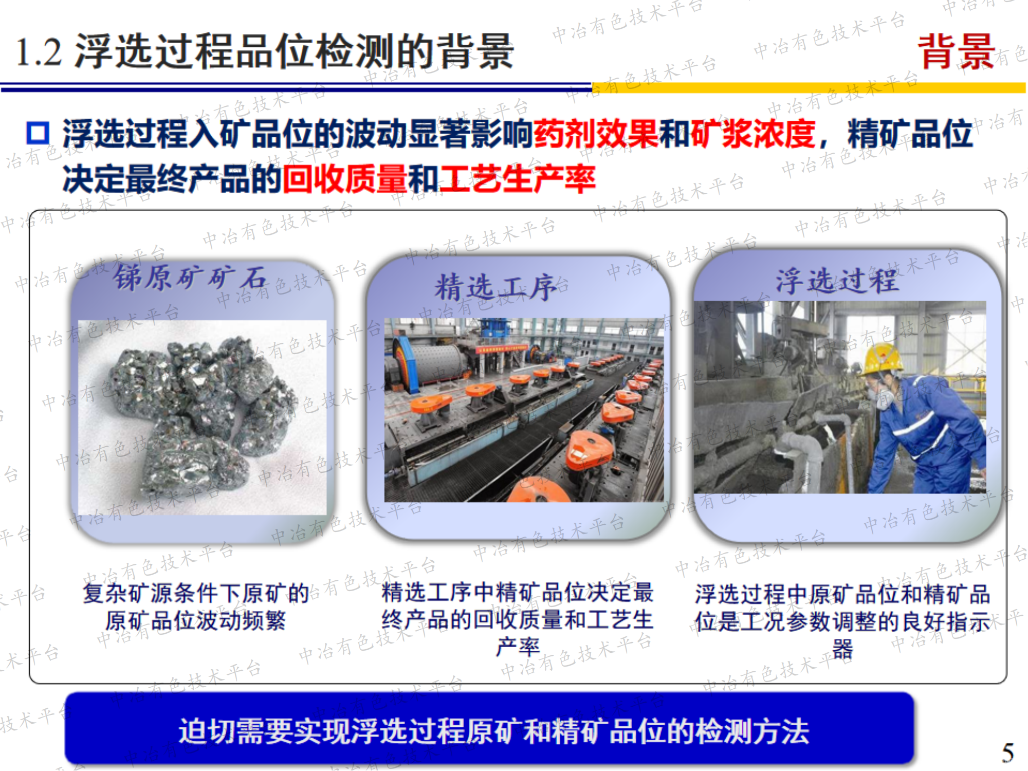基于拉曼光谱的矿物浮选物质 组分在线检测技术及应用