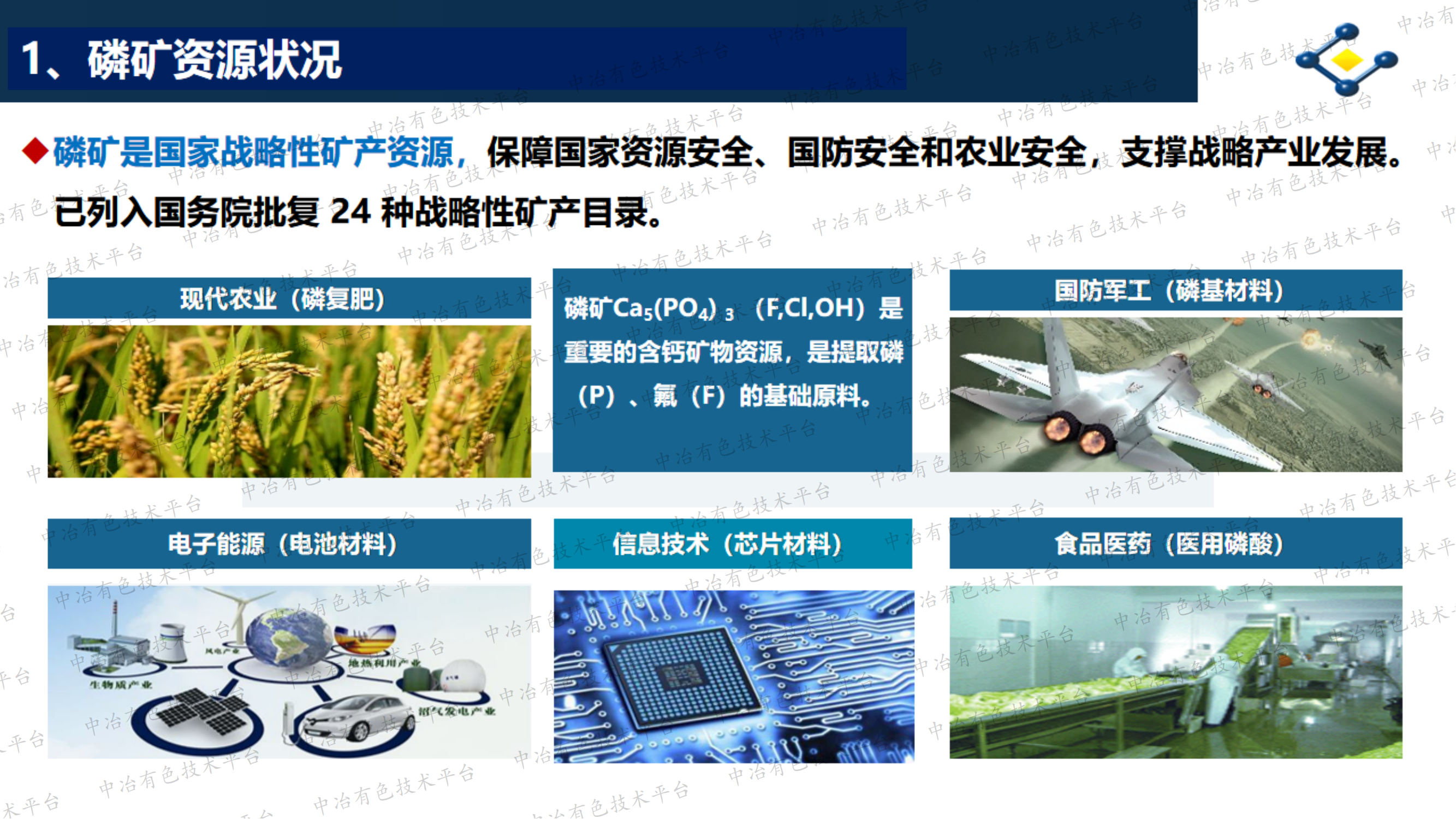 难选胶磷矿选矿集成技术开发 及产业化应用