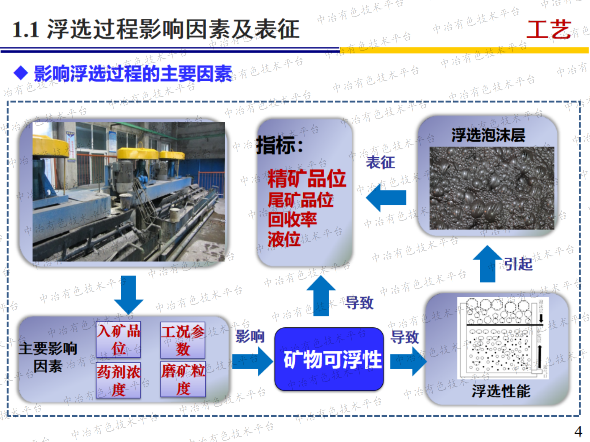 基于拉曼光谱的矿物浮选物质 组分在线检测技术及应用