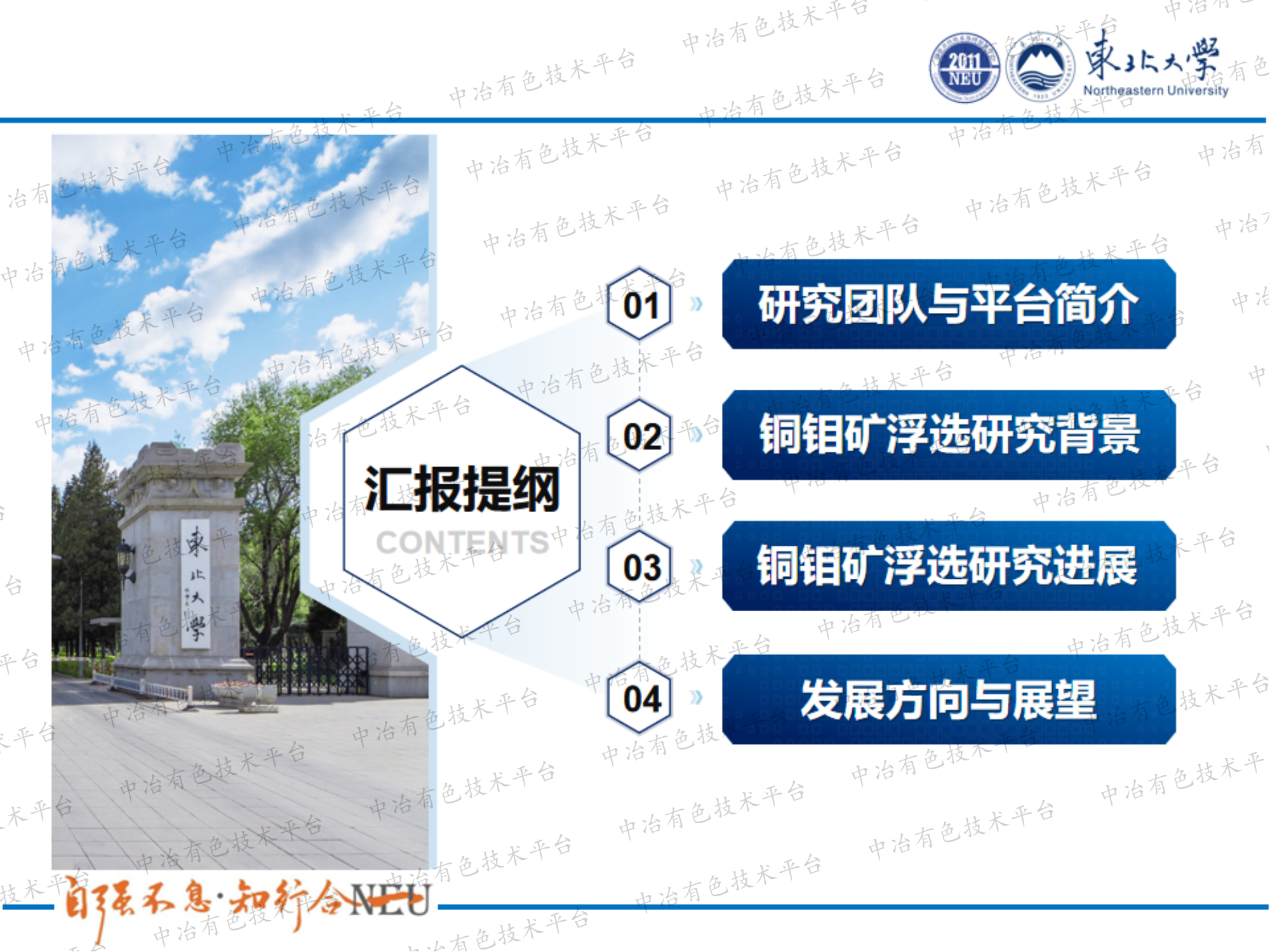 微细粒铜钼矿浮选强化机制研究