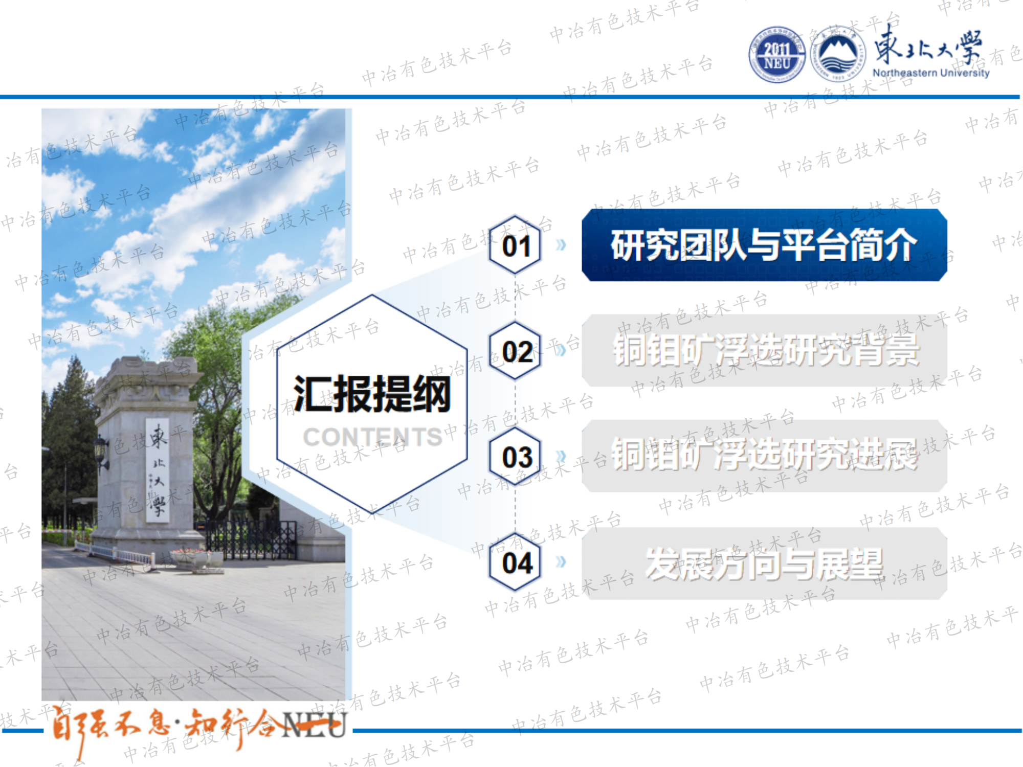 微细粒铜钼矿浮选强化机制研究