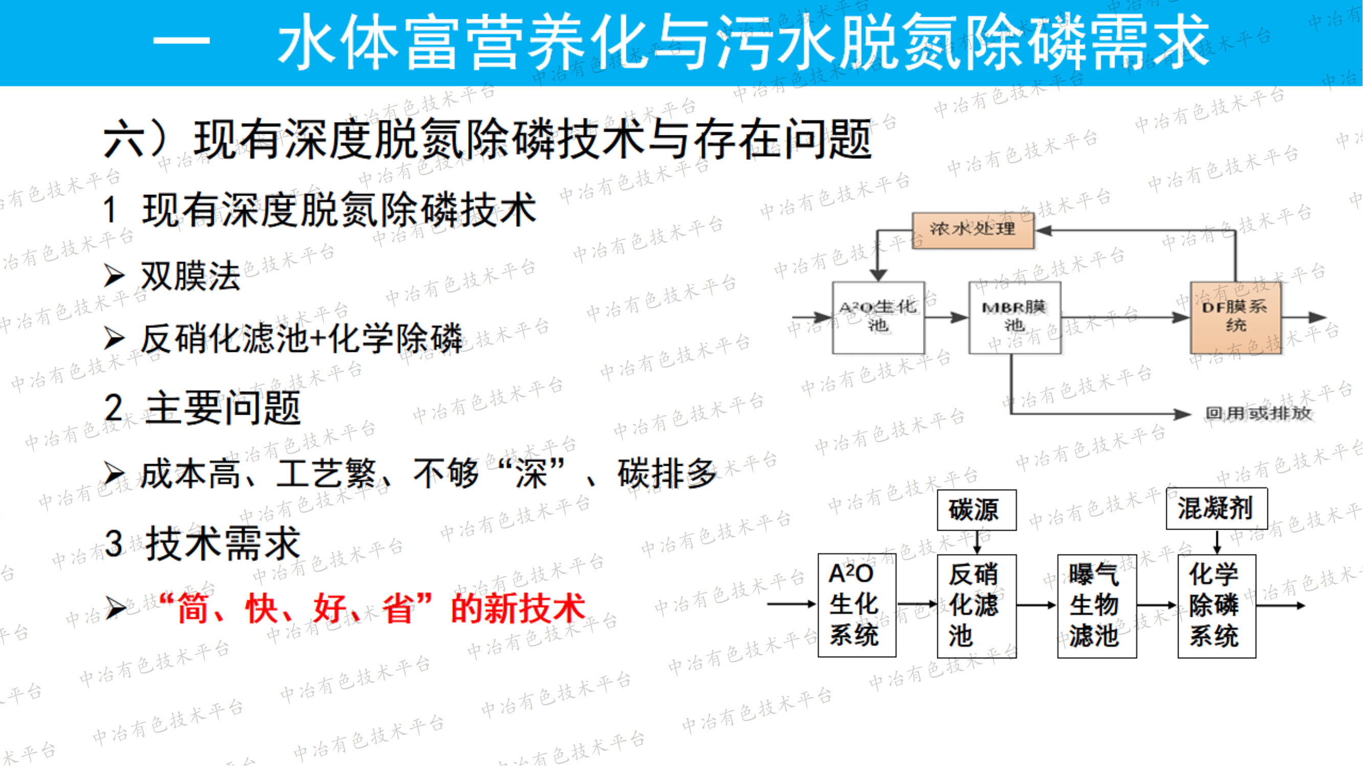 基于硫铁矿的低碳、高效、深度、同步脱氮除磷技术(SMS)研究