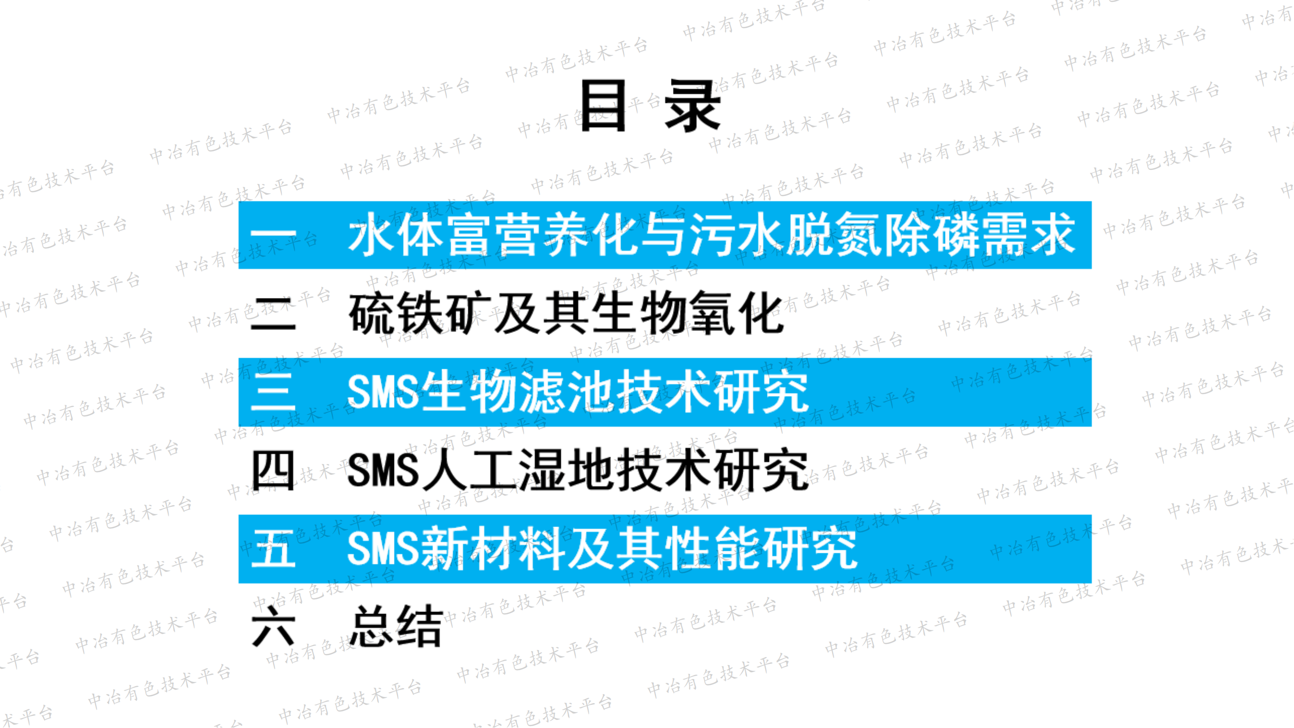 基于硫铁矿的低碳、高效、深度、同步脱氮除磷技术(SMS)研究