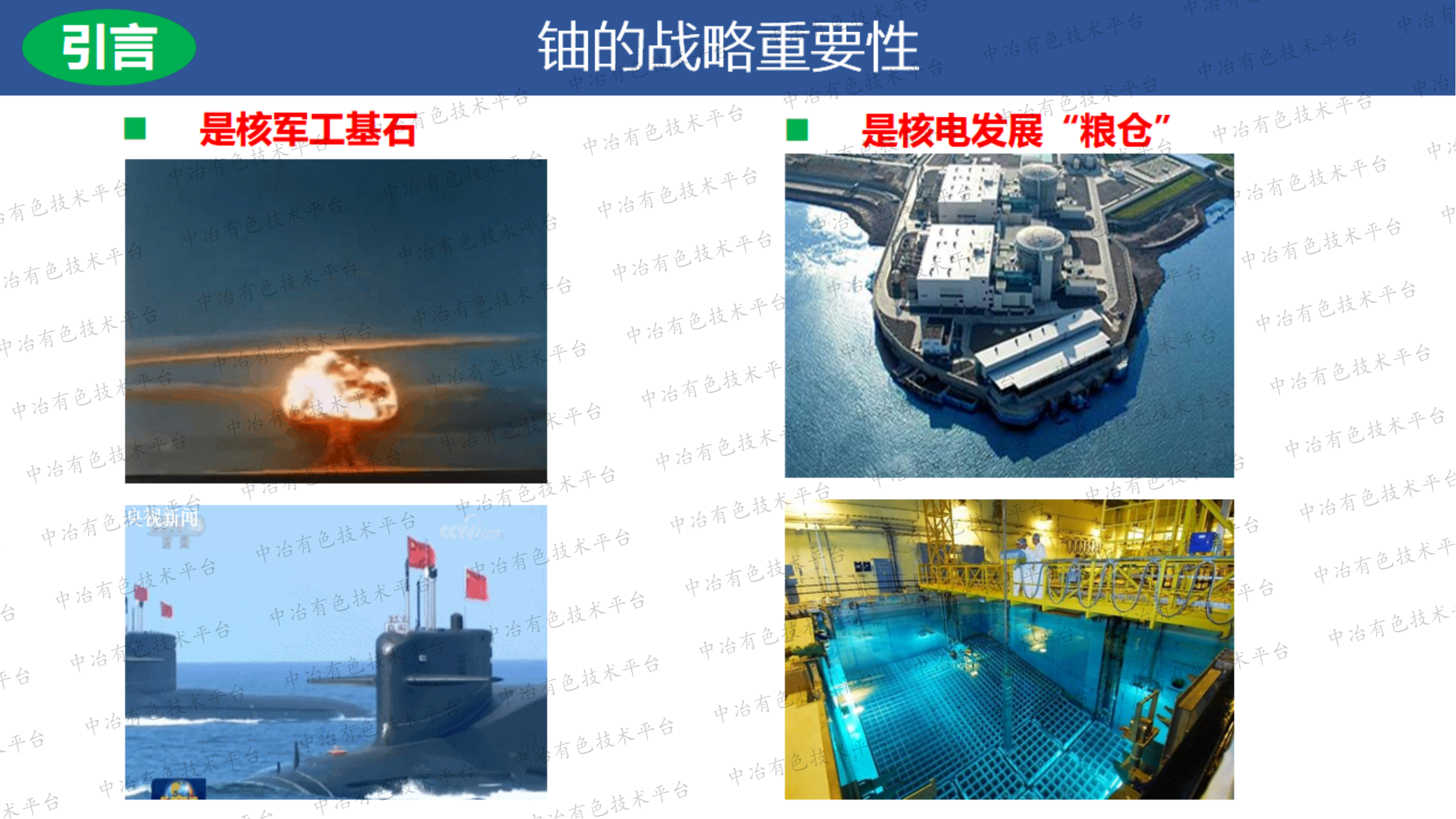 中国铀矿生物浸出研究进展