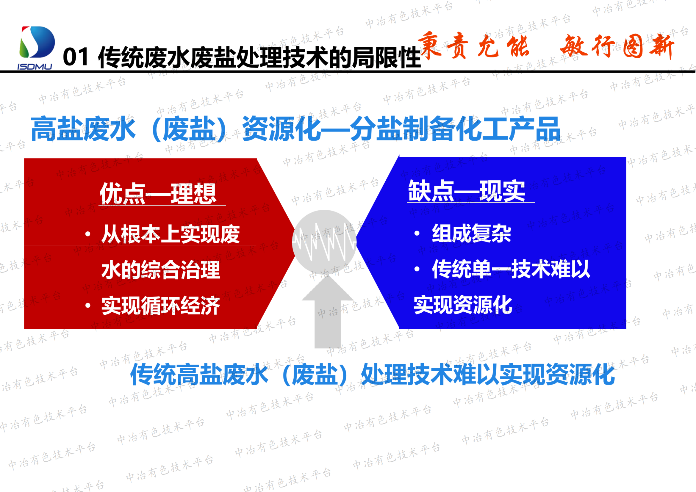 调控结晶资源化处理高盐废水（废盐）技术开发