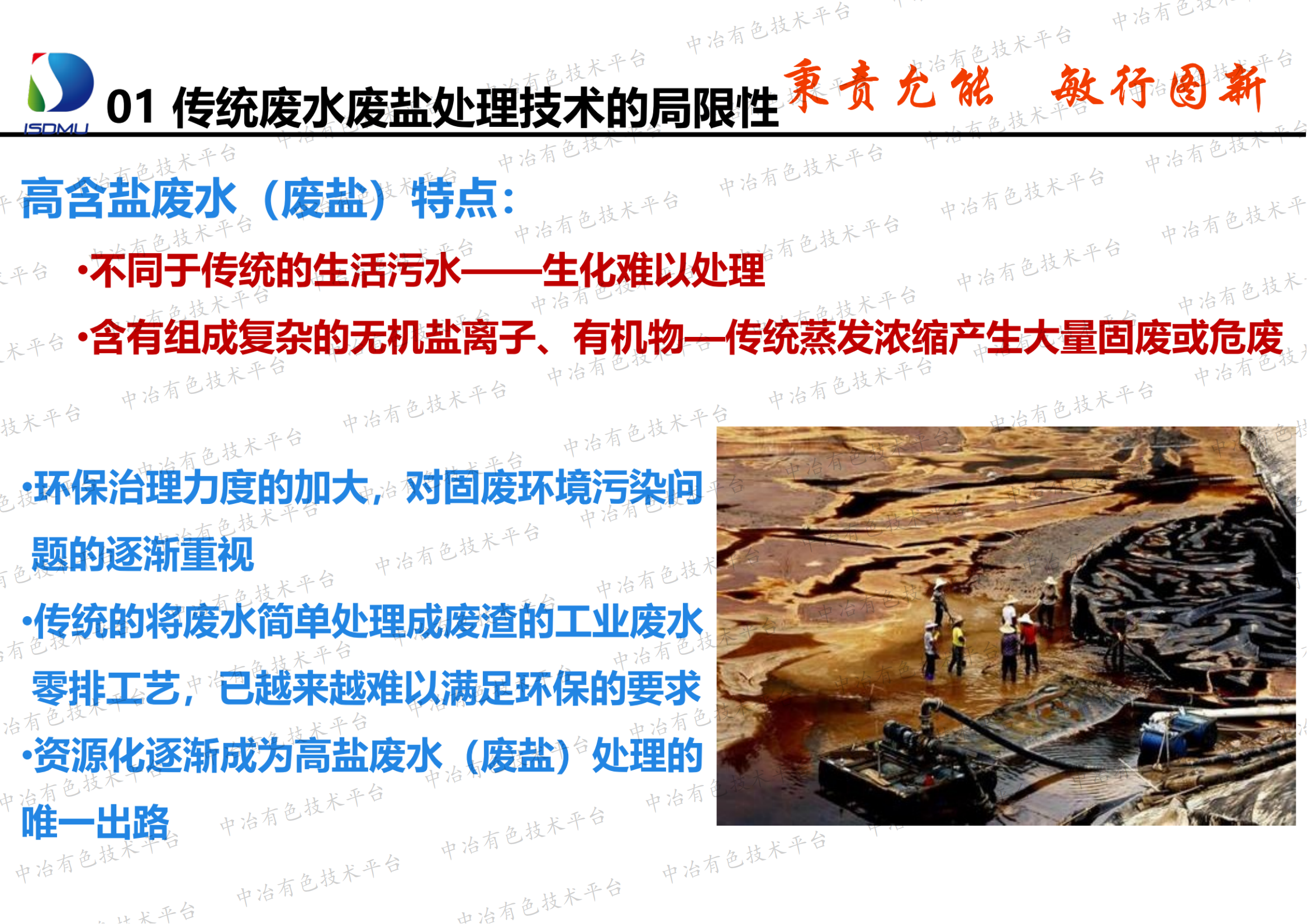 调控结晶资源化处理高盐废水（废盐）技术开发