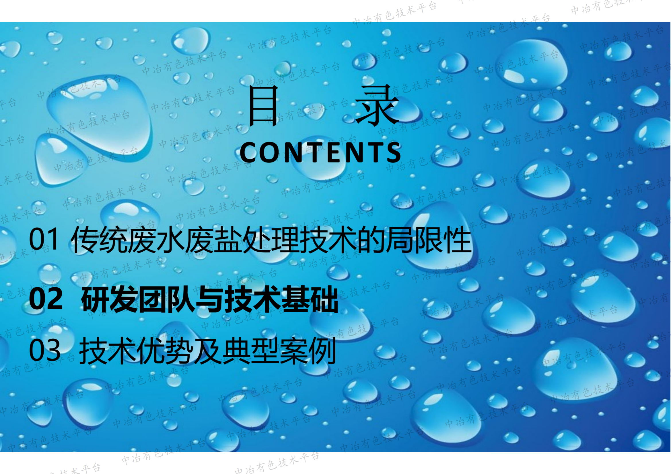 调控结晶资源化处理高盐废水（废盐）技术开发