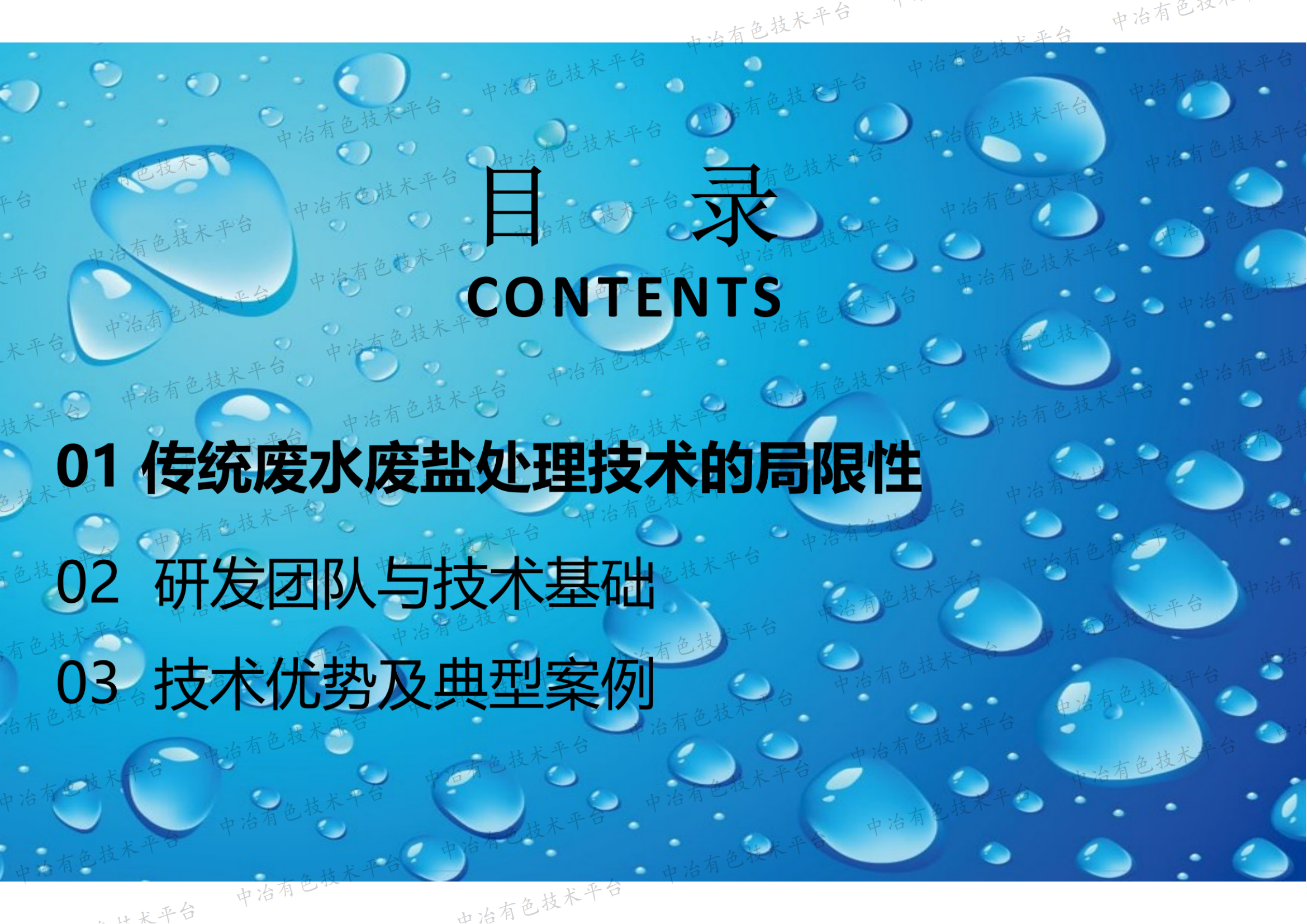 调控结晶资源化处理高盐废水（废盐）技术开发