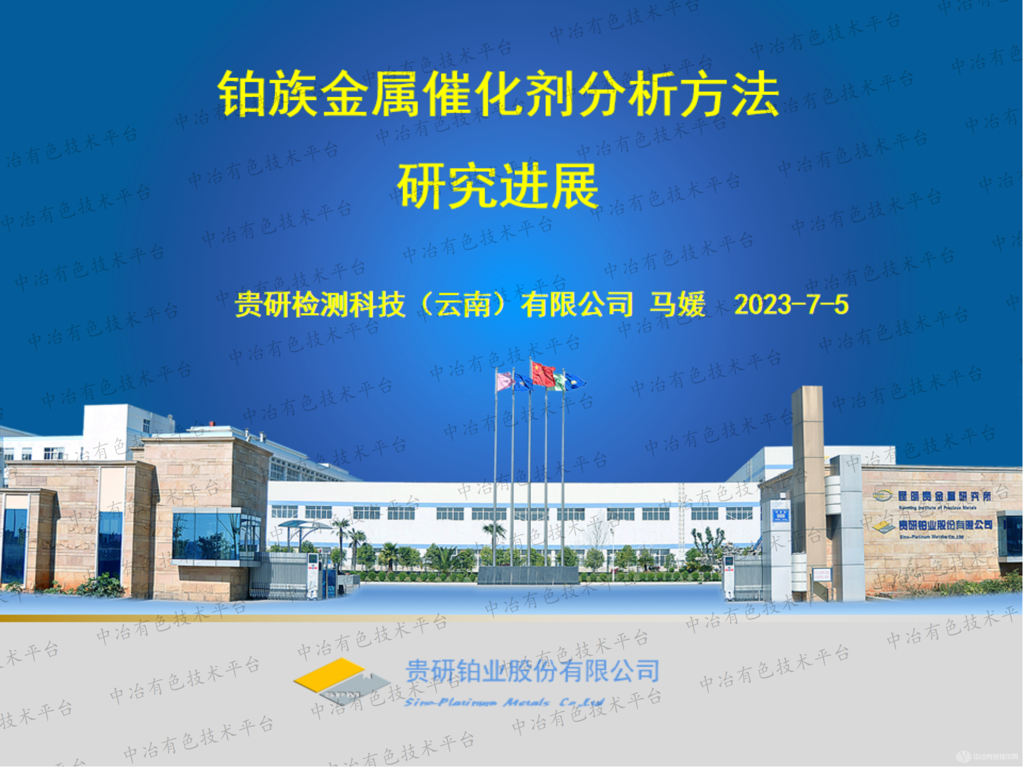 铂族金属催化剂分析方法研究进展