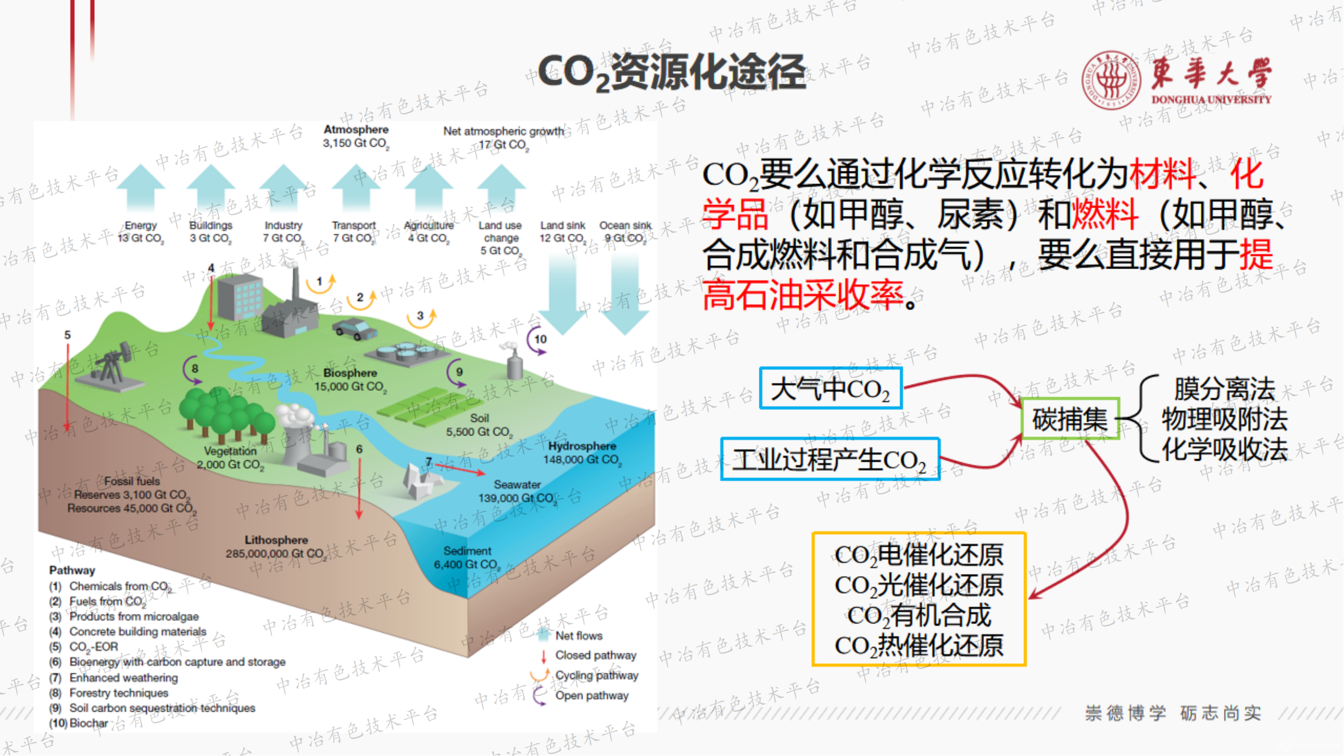 CO2资源化可行性途径分析