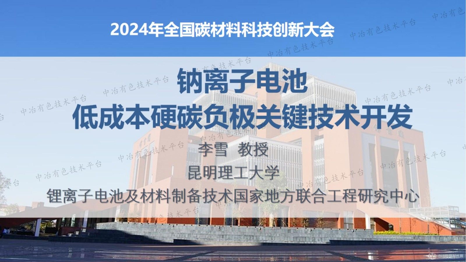 钠离子电池低成本硬碳负极关键技术开发