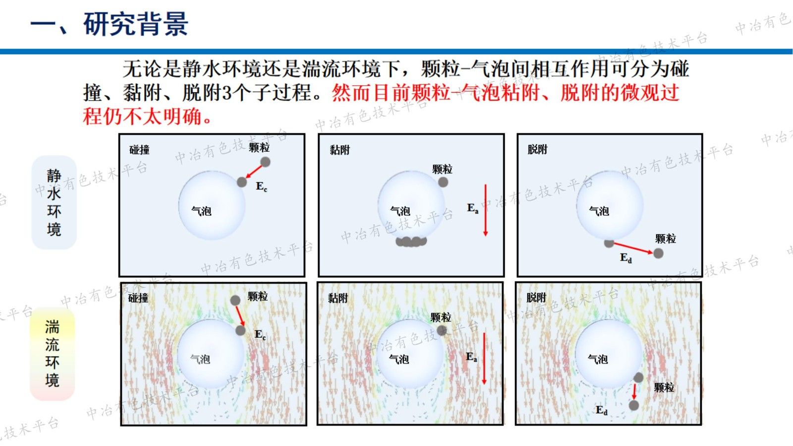 颗粒与气泡相互作用行为研究